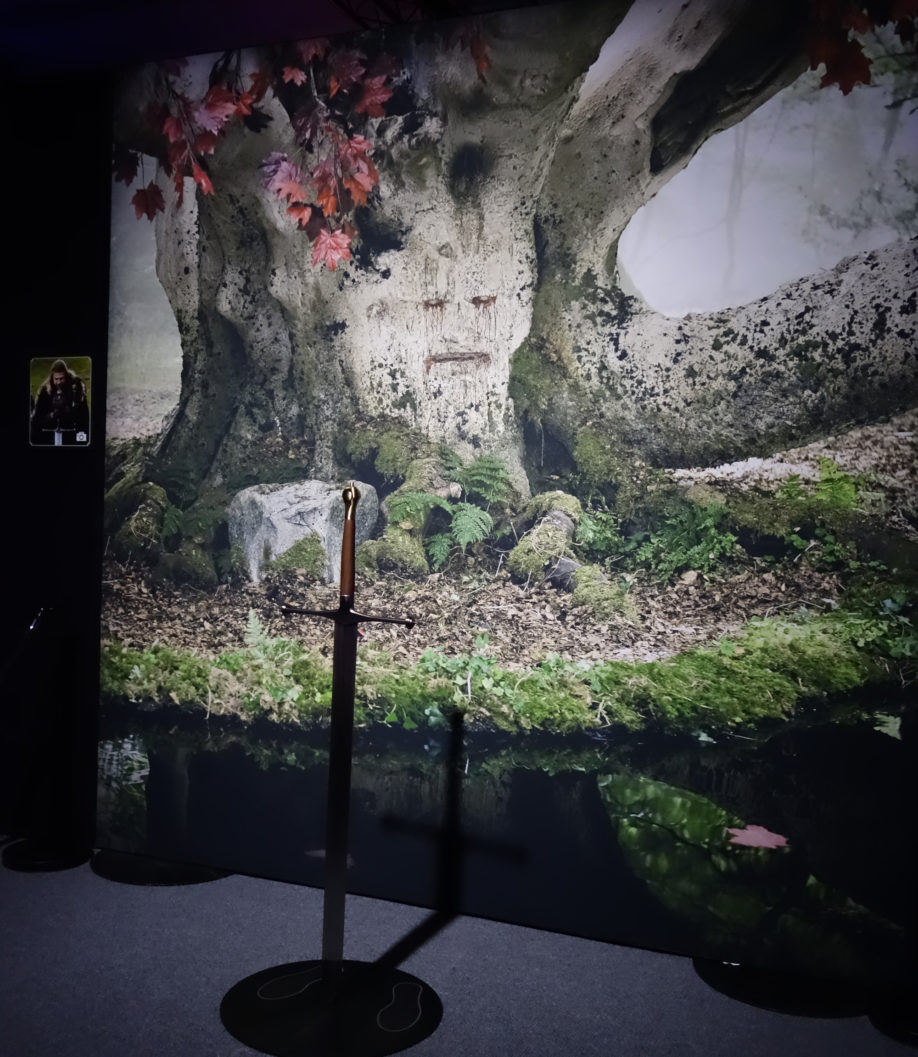 Activité photo avec Glace, devant l'arbre-cœur du bois sacré de Winterfell (crédits : Thistle).