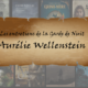 Couverture entretien aurelie Wellenstein