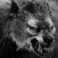 Illustration du profil de werewolf