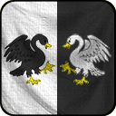 Blason-swann-2014-v01-128px.png