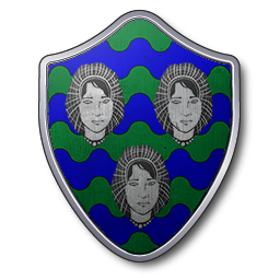 Blason-sunderland-2014-v01-256px.png