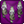 Blason-vassal-2014-v01-24px.png